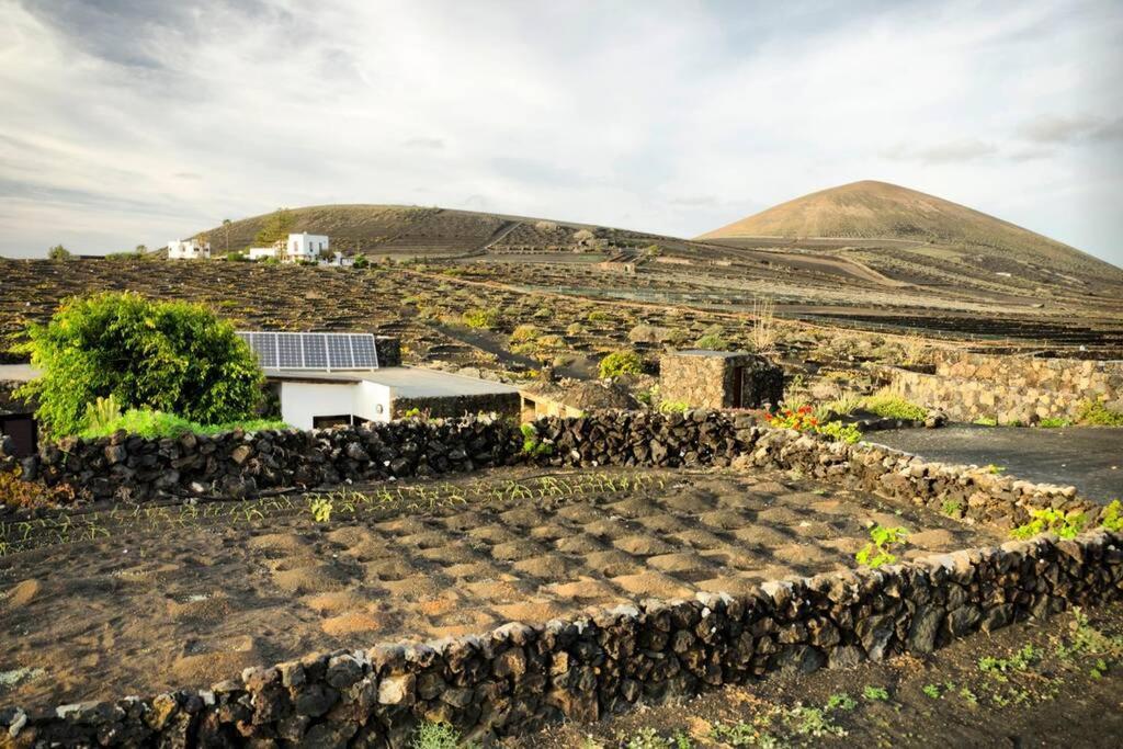 Los Frailes Eco Finca B Тінахо Екстер'єр фото